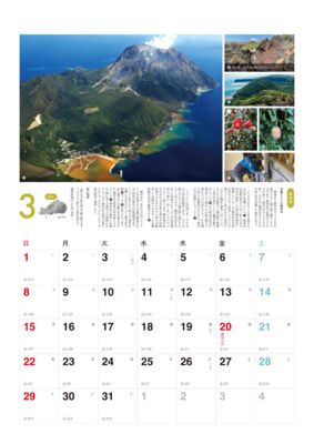 003_251109のサムネイル